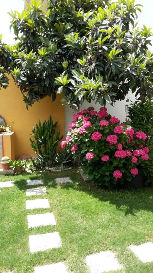 Appartamenti San Vito San Vito  Esterno foto
